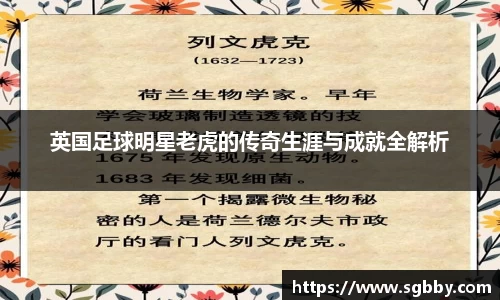 英国足球明星老虎的传奇生涯与成就全解析